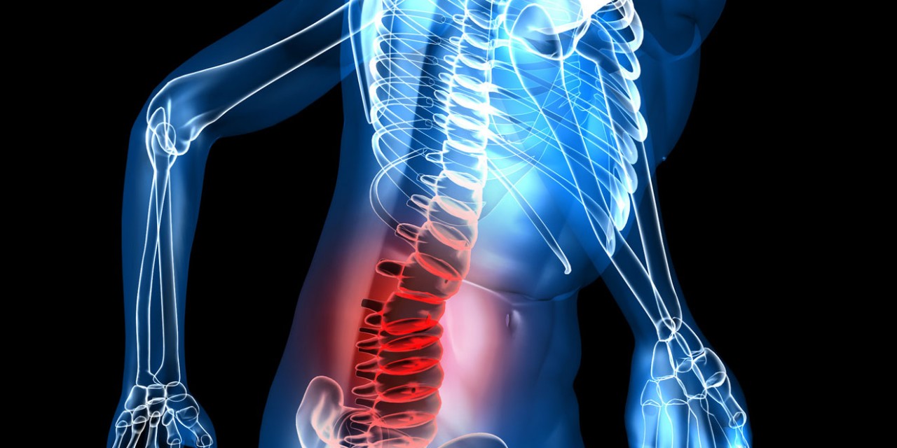 Découvrez l'arthrose dorsale : je vous explique comment se ...